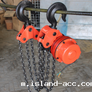 群吊电动葫芦不止有DHP系列，更有舞台电动葫芦